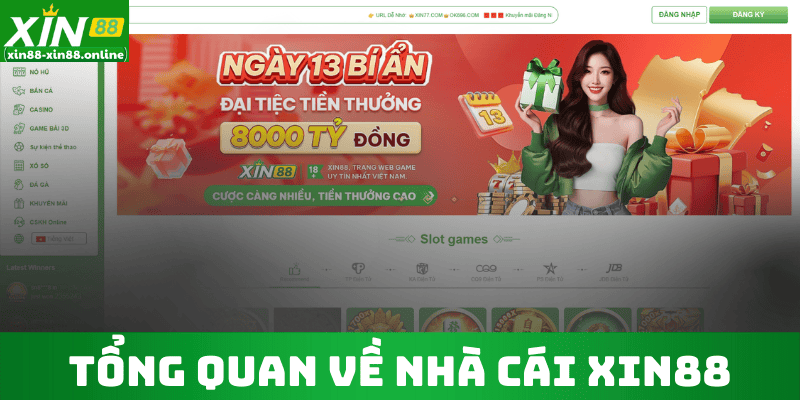 Tổng Quan về Nhà Cái Xin88